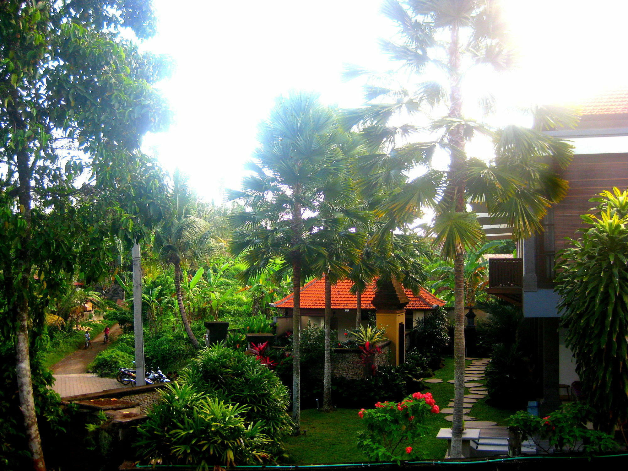 Villa Sonia Bisma Ubud  Bagian luar foto