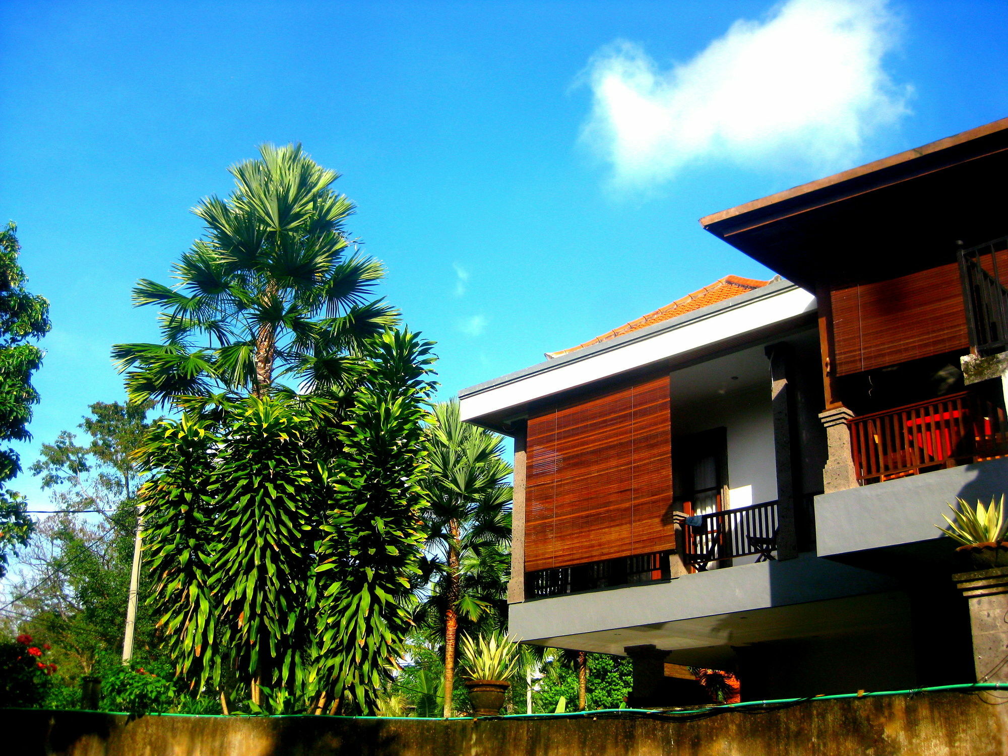 Villa Sonia Bisma Ubud  Bagian luar foto