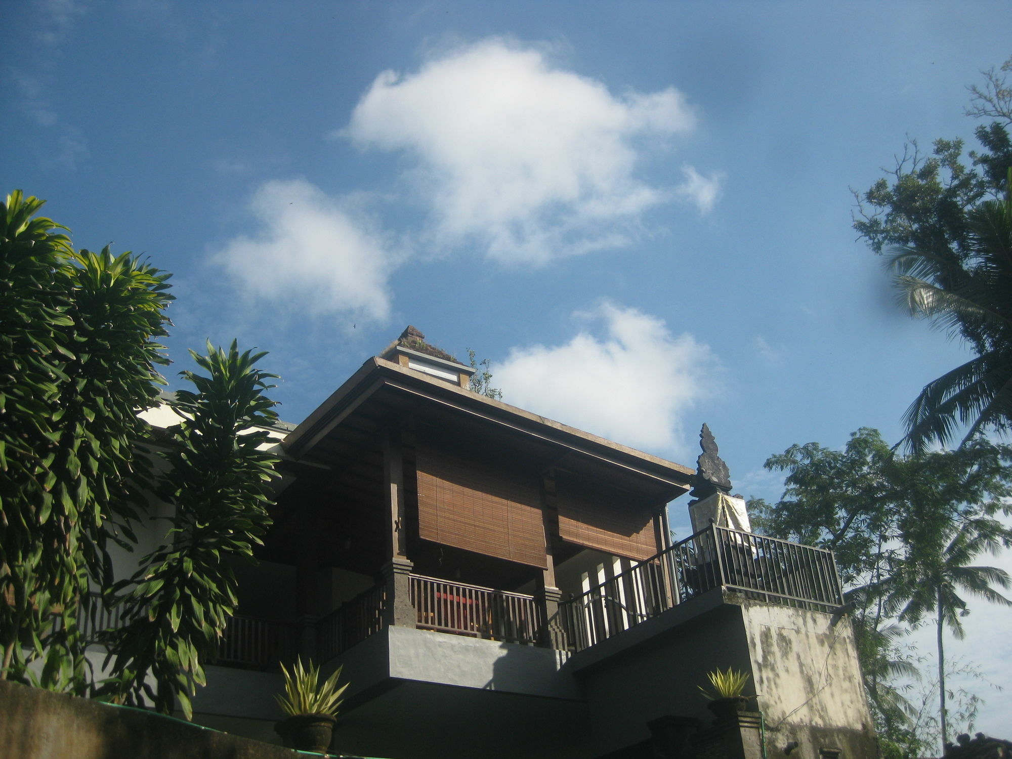 Villa Sonia Bisma Ubud  Bagian luar foto